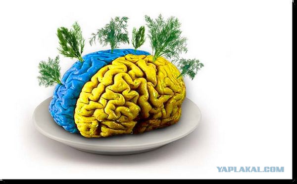 Порошенко признал себя укропом