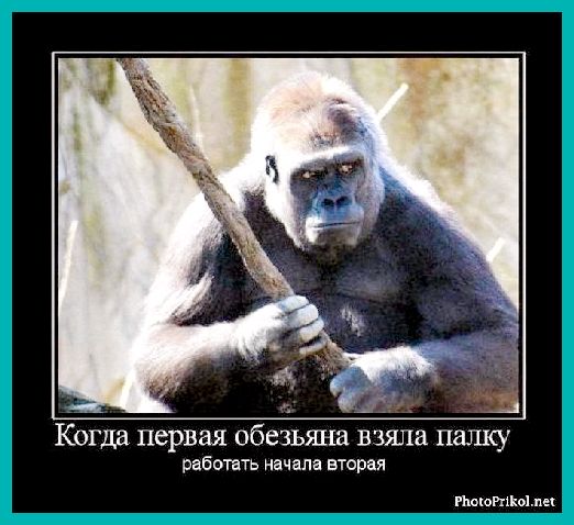 Демотиваторов пост
