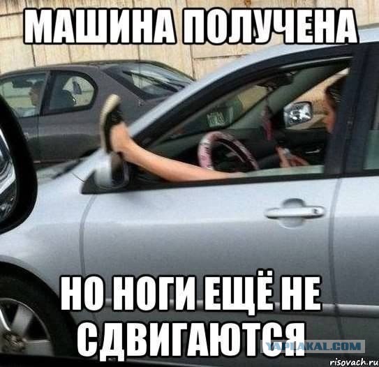 Подборка веселых картинок