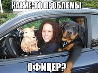 Как быстро проучить обочечника