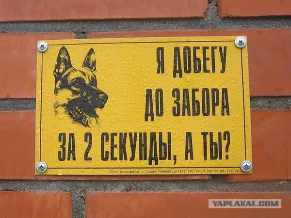 Смешное из сети