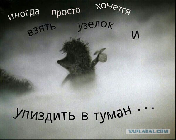 Смешные комментарии из социальных сетей 15.11.14