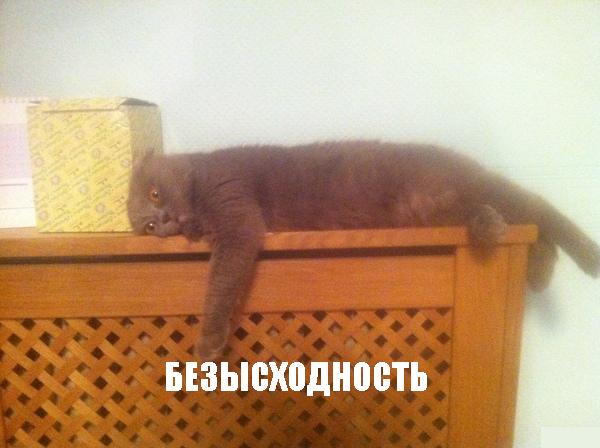 Картинки и юмор