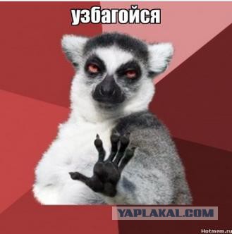 Покрутим хвоста СШП