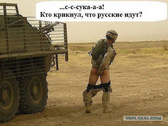 АДский Медведь!