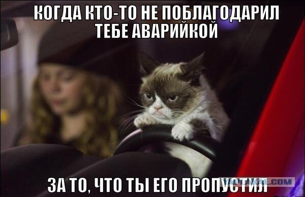 Картинки из сети