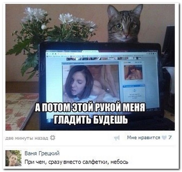 Картинок пост