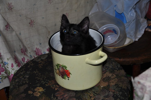 Фотоподборка очень удобных кастрюль