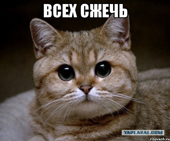 Русские женщины проиграли....