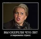 ОП попросила Генпрокуратуру и СК найти Васильеву