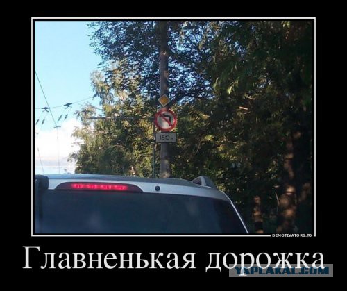 Немного демотиваторов