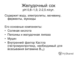 Я не веган!