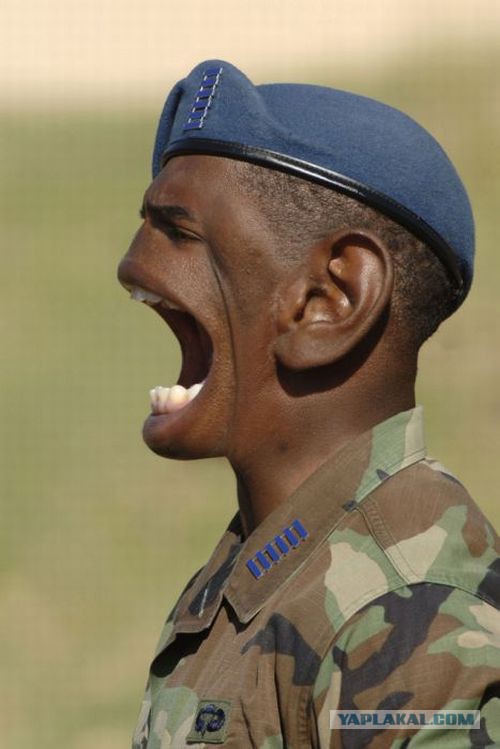 После нас только ТИШИНА