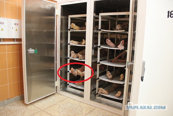 Новый морг распахнул двери во Владивостоке