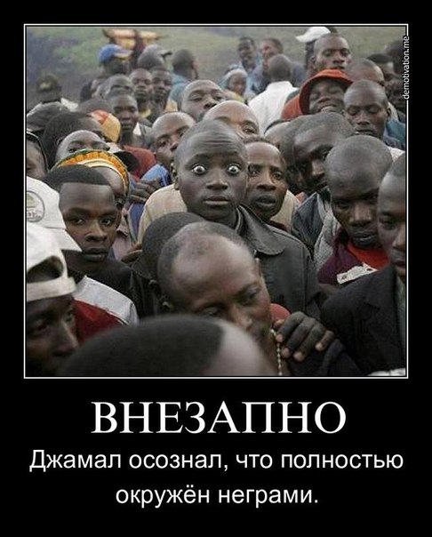 Забавные картинки из Сети