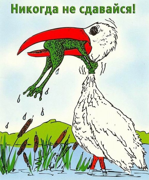 Ох уж эти тапки...