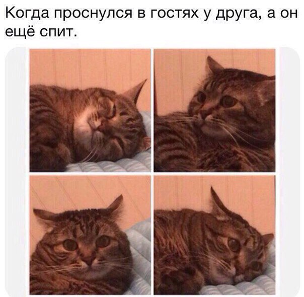 Веселые картинки
