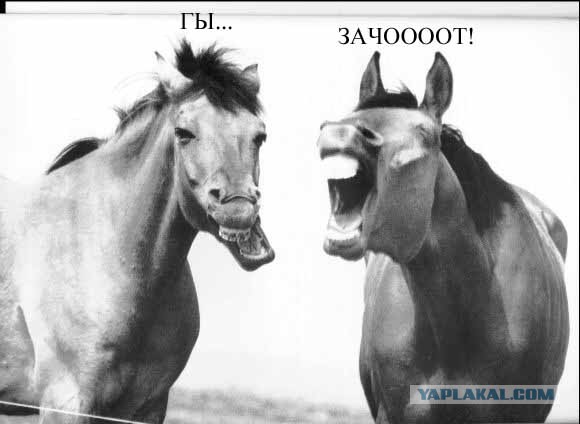 Как я делал ПЕГАСА!