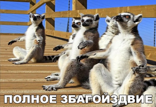 Картинки из сети, подборка на пятницу.