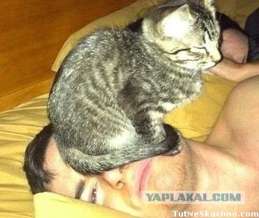 Немного охренел от такой наглости