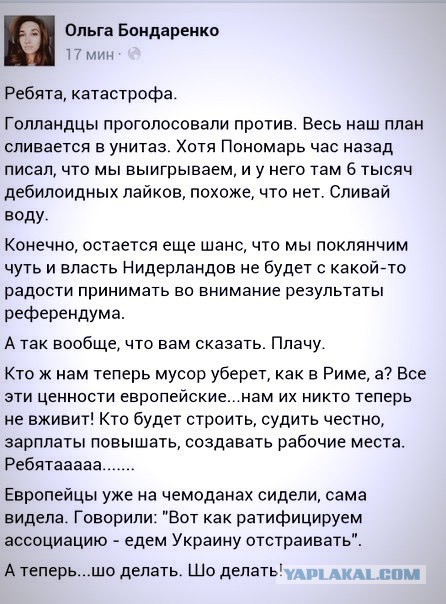 СМИ: 64% голландцев высказались против ассоциации Украины с ЕС