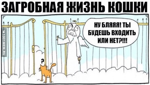 Подборка картинок