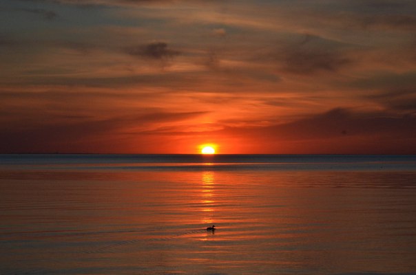 Интересные и веселые картинки