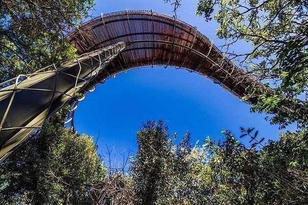 Картинки для отдыха глаз