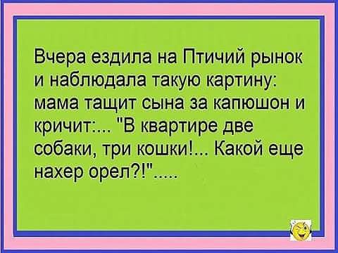 Мощная доза деградации на выходные