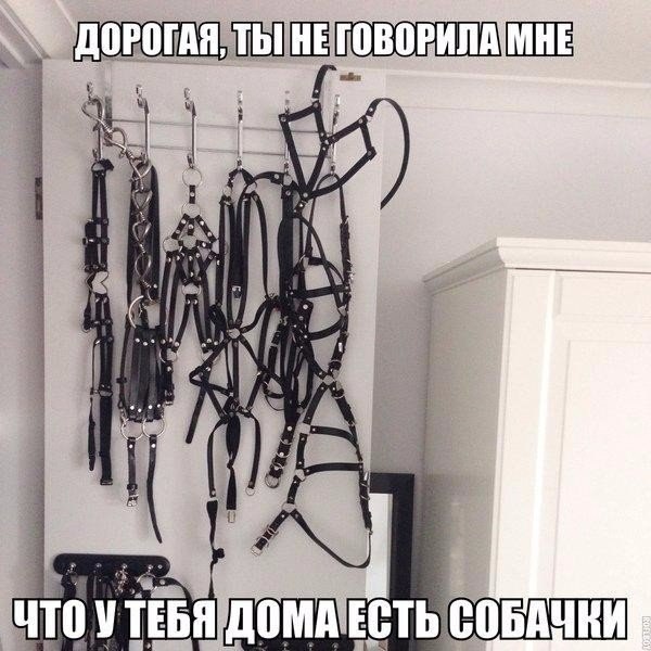 Прикольные картинки
