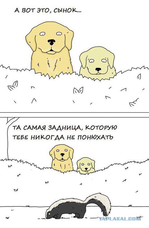 Минутка лёгкой деградации на ЯПе