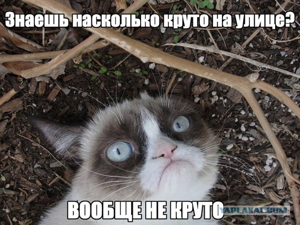 Немного деграданса - 4