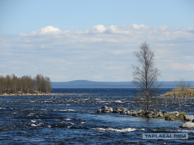 Летний отдых на море