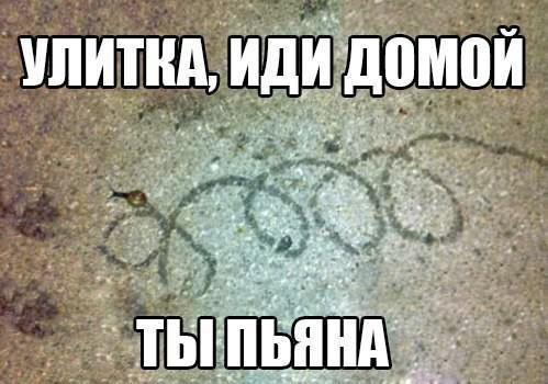 Очередная подборка школьной наркомании
