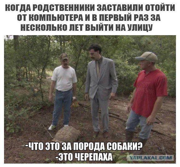 Немного деграданса - 7