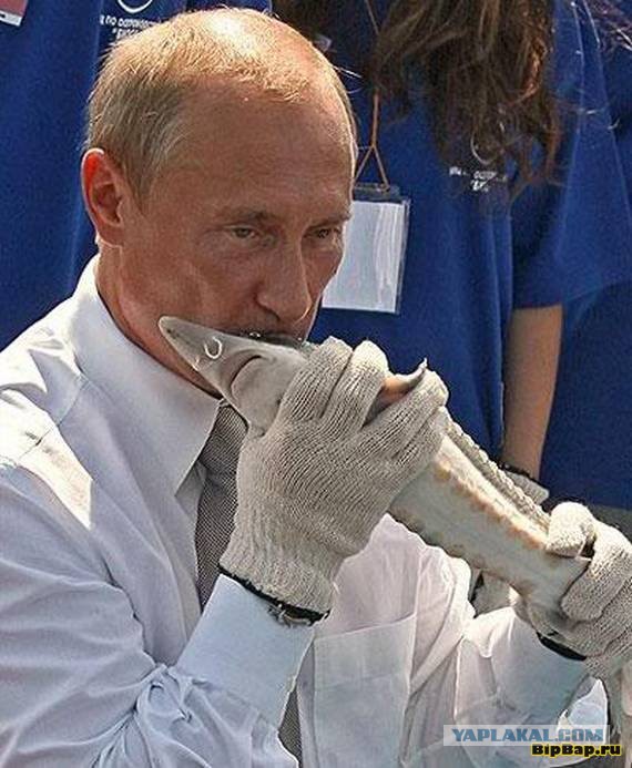 Астраханец сделал скульптуру медведя с лицом Путина и теперь собирается подарить её президенту