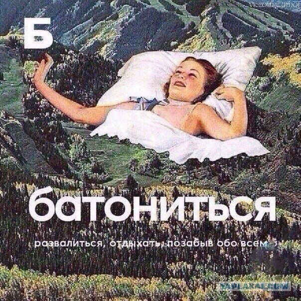 Прикольные картинки