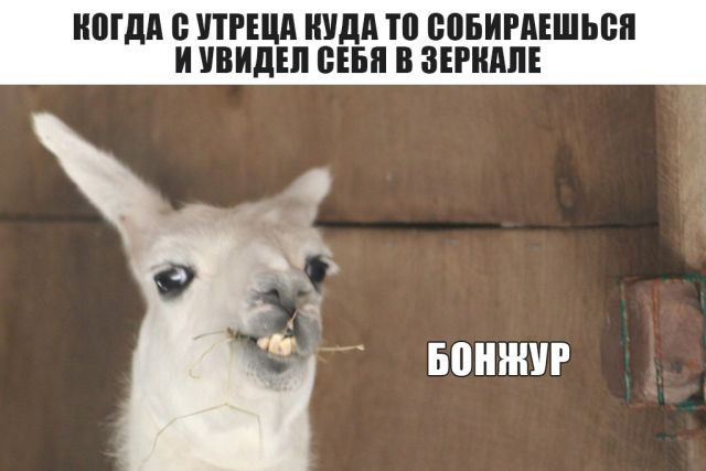 Нестандартный юмор