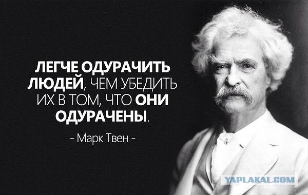 Камчатскую радиоведущую отстранили от эфира за сравнение 74% россиян, голосовавших на выборах за Путина, с приматами