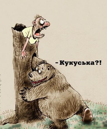 Что делать, если вы встретили медведя. Инструкция в дальневосточном отеле