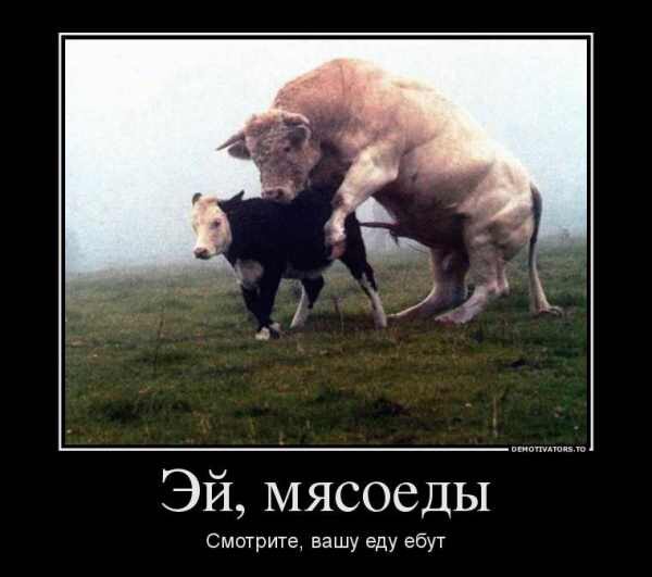 Мясоед показал, чем угощают на вегетарианском барбекю