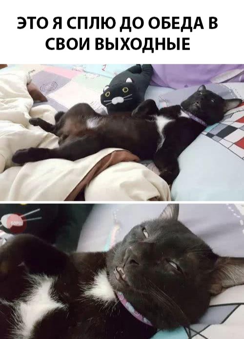 Немного картинок на сегодня