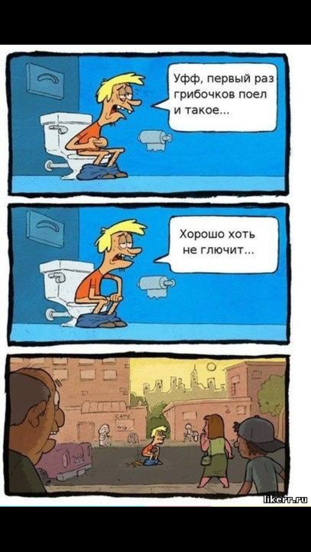 Невероятные факты о грибах