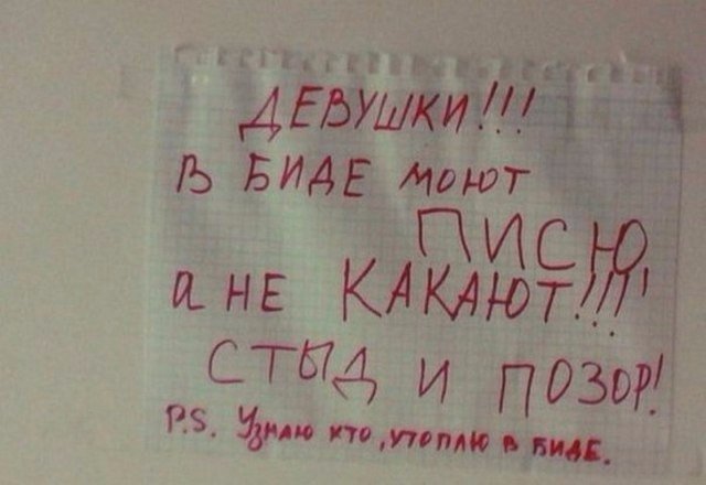 Скотсети и прочие интернеты 02.10.18