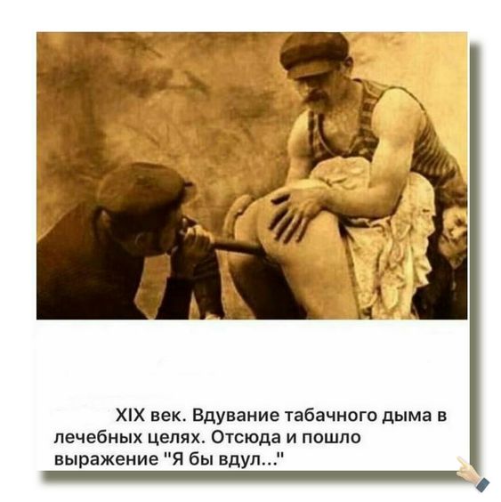 Чернушка-чернучшечка-чернушенция
