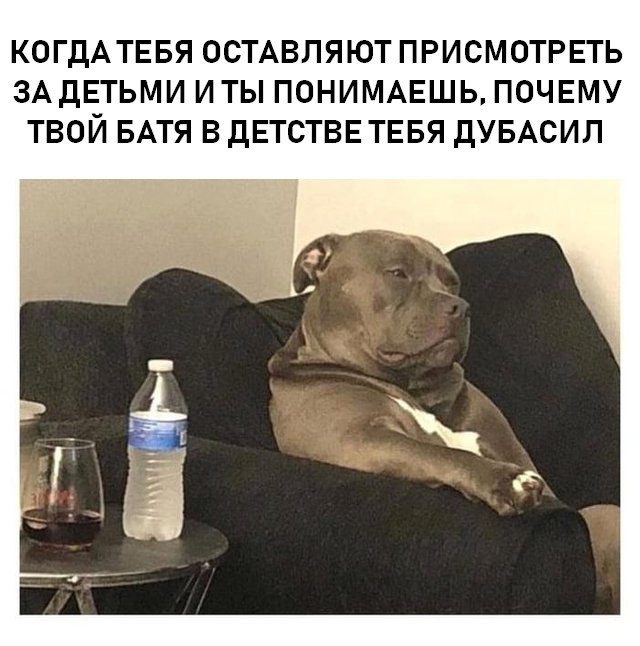 Милые животные. Мимиметр сломался