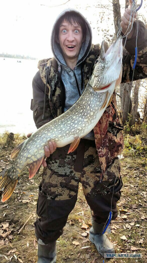 Ездил на Бердь. А что, а вдруг...