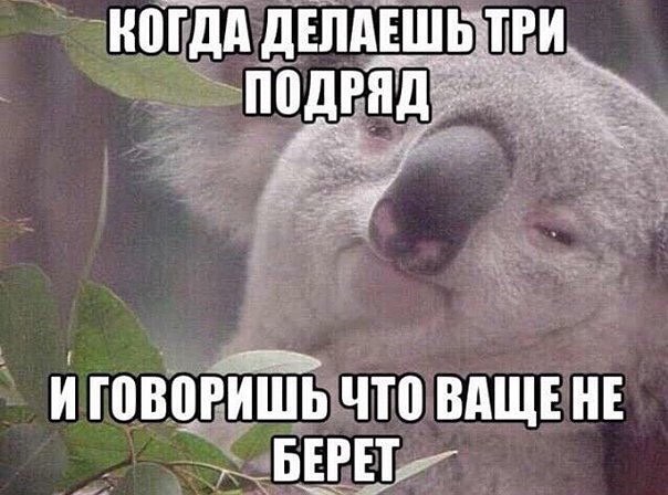 Times: повышенная концентрация кокаина в Темзе сделала угрей гиперактивными