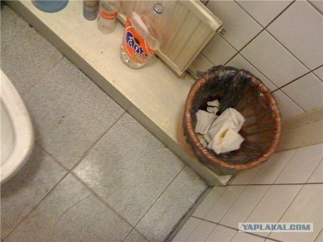 Текстура туалетной бумаги. Ведро для туалетной бумаги. Туалетная бумага в ванной. Туалетная бумага с лицом. Туалетная бумага с дерьмом.