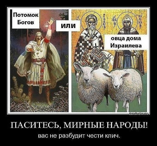 Дикая природа прекрасна: детёныш храма впервые выбрался охотиться на сквер